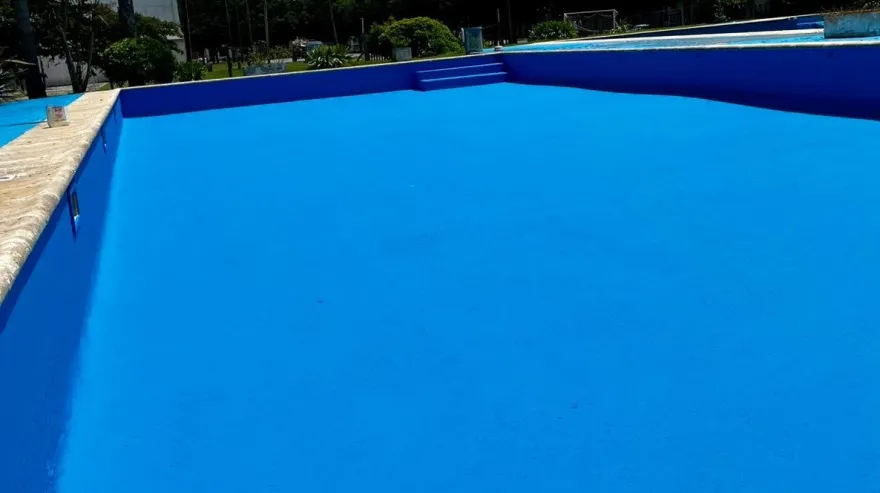 20251209141816_tordillo-pileta