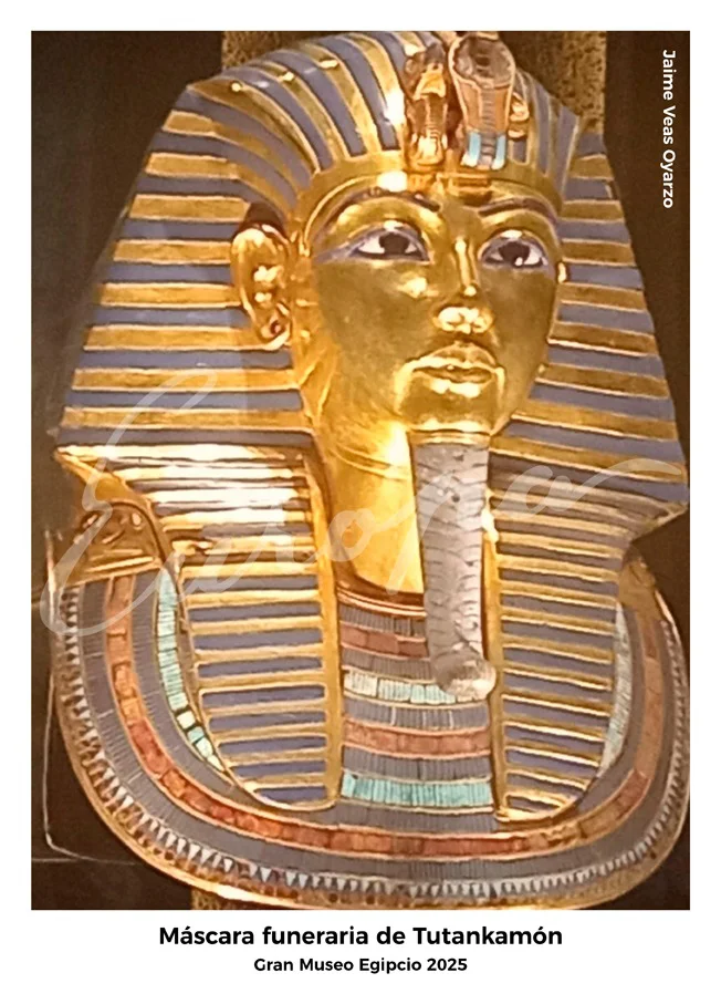 WhatsApp Image 2026-03-22 at 17.28.14 (2)